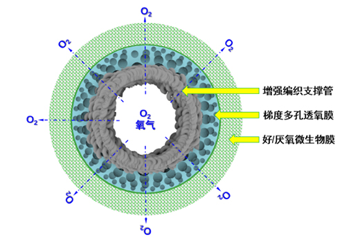 巨澜纳米—MABR水体修复氧合膜/曝气生物膜